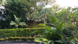 Ridout Road (D10), Detached #497030461